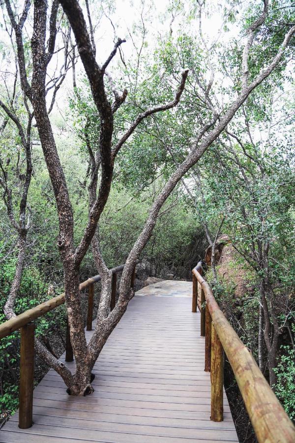 Madikwe Hills Private Game Lodge محميّة ماديكوي الطبيعيّة للطرائد المظهر الخارجي الصورة